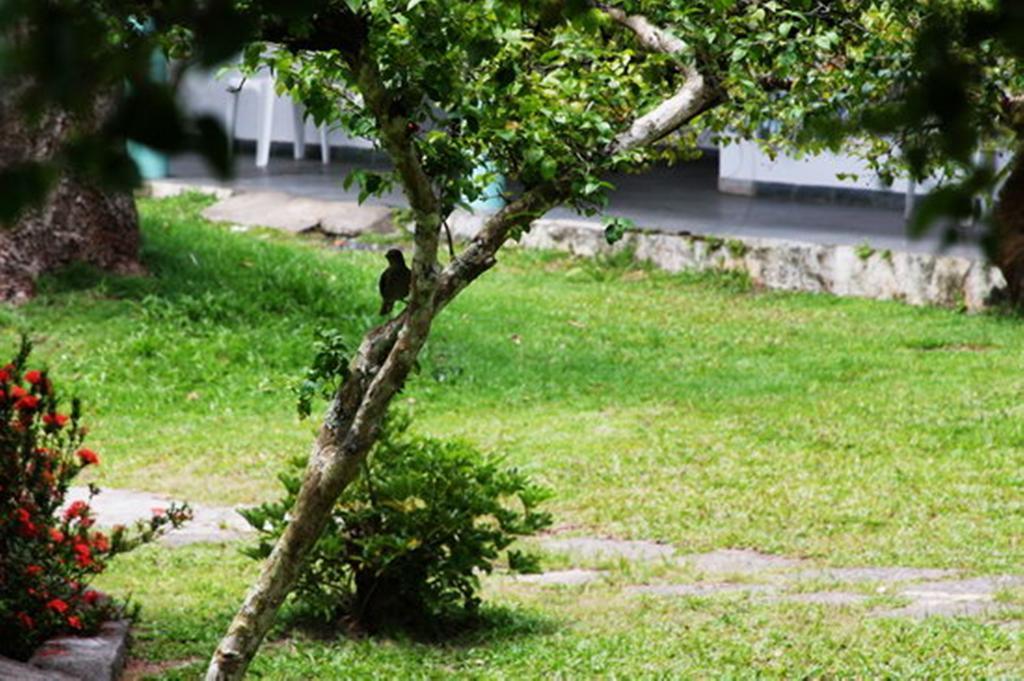 Pousada Sitio Paraiso Itacare Bagian luar foto